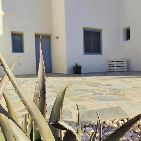 Apartament Mosaic *
